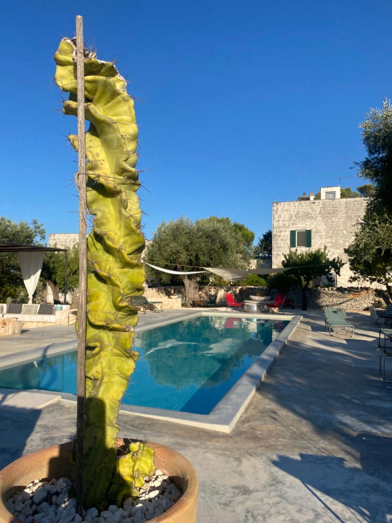 Masseria Serafino Остуні Екстер'єр фото